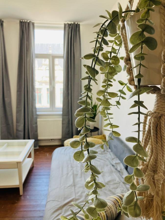 אנטוורפן Bnb Hotel Suikernest מראה חיצוני תמונה